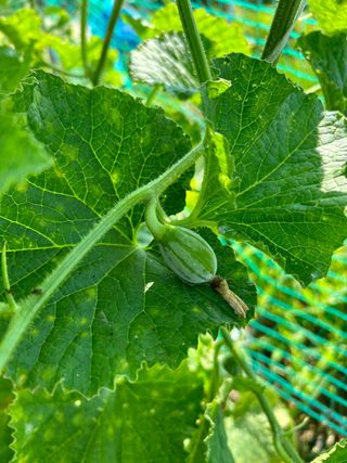 에버님의 자유주제 · 자유게시판 작성글 사진