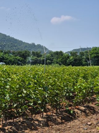 우리농원님의 자유주제 · 자유게시판 작성글 사진