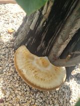 팜모닝 자유주제·자유게시판 게시글 이미지