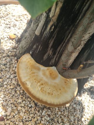 귀린이님의 자유주제 · 자유게시판 작성글 사진