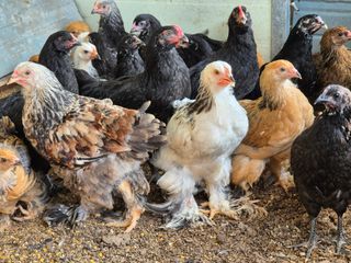 천운산님의 자유주제 · 자유게시판 작성글 사진