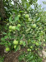 팜모닝 · 게시글 이미지