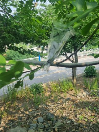 김용대님의 자유주제 · 자유게시판 작성글 사진