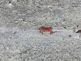 정광일님의 자유주제 · 자유게시판 작성글 사진