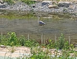 MSG0074님의 자유주제 · 자유게시판 작성글 사진