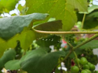 태일농산이정수님의 자유주제 · 자유게시판 작성글 사진