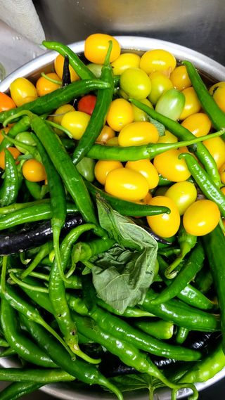 행복농장아다나님의 자유주제 · 자유게시판 작성글 사진