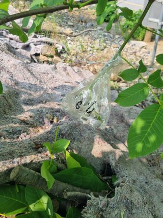 김용대님의 자유주제 · 자유게시판 작성글 사진