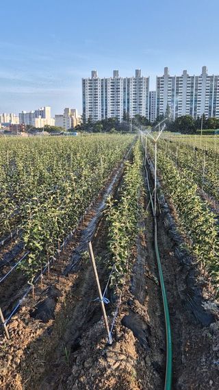 우리농원님의 자유주제 · 자유게시판 작성글 사진