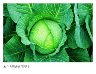 주주씨앗님의 자유주제 · 자유게시판 작성글 사진