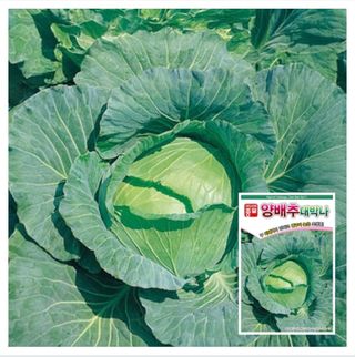 주주씨앗님의 자유주제 · 자유게시판 작성글 사진