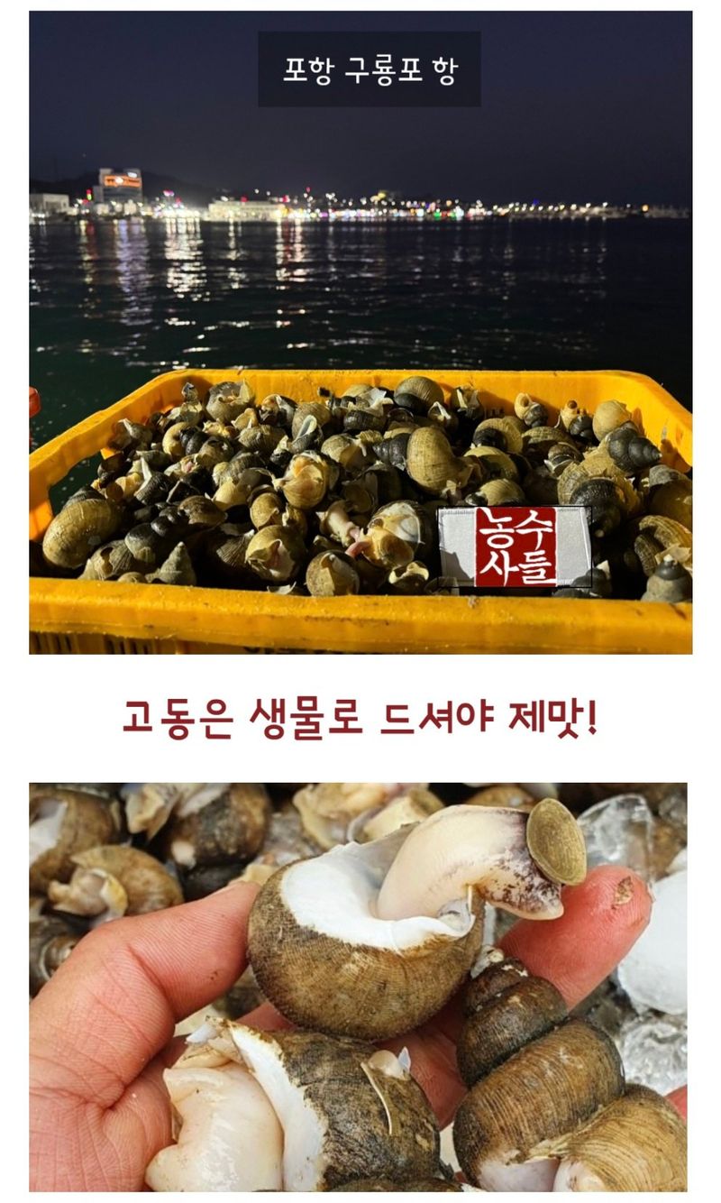농수사님의 장터 판매 상품 [구룡포 생물 손질 골뱅이 500g] 첨부 사진