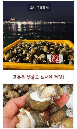 농수사님의 작성글 사진