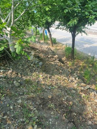 김용대님의 자유주제 · 자유게시판 작성글 사진