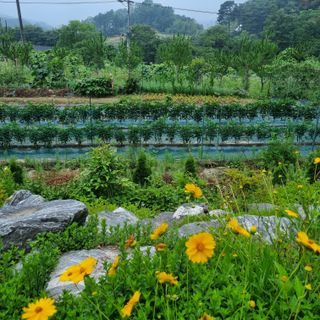 훈&팜님의 작성글 사진