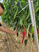 박현민님의 자유주제·자유게시판 작성글 사진