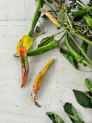 정재남님의 자유주제 · 자유게시판 작성글 사진