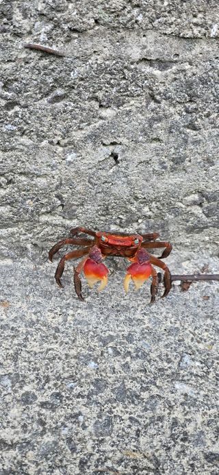 정광일님의 자유주제 · 자유게시판 작성글 사진