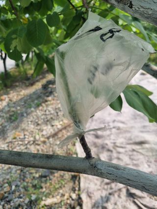 김용대님의 자유주제 · 자유게시판 작성글 사진