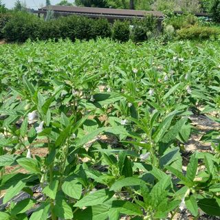 이장우님의 자유주제 · 자유게시판 작성글 사진