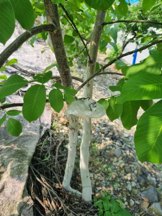 김용대님의 자유주제 · 자유게시판 작성글 사진