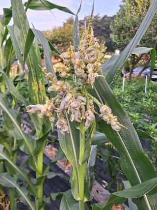 양동하님의 자유주제 · 자유게시판 작성글 사진