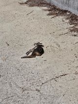 팜모닝 자유주제·자유게시판 게시글 이미지