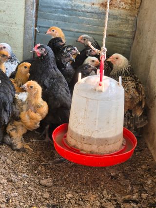 천운산님의 자유주제 · 자유게시판 작성글 사진