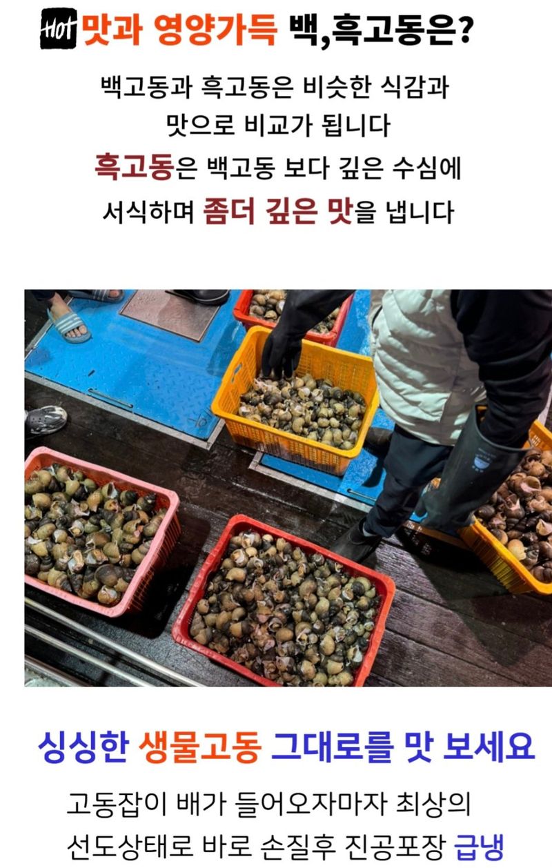 농수사님의 장터 판매 상품 [구룡포 생물 손질 골뱅이 500g] 첨부 사진
