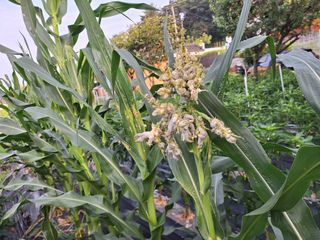 양동하님의 자유주제 · 자유게시판 작성글 사진