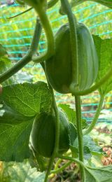 팜모닝 자유주제·자유게시판 게시글 이미지