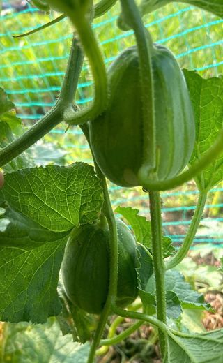 에버님의 자유주제 · 자유게시판 작성글 사진