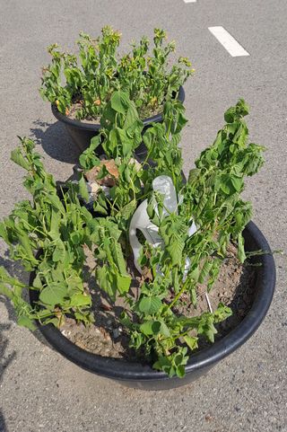 MSG0074님의 자유주제 · 자유게시판 작성글 사진