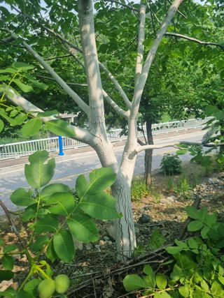 김용대님의 자유주제 · 자유게시판 작성글 사진