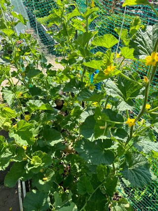 에버님의 자유주제 · 자유게시판 작성글 사진