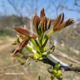 팜모닝 · 게시글 이미지