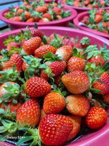 팜모닝 · 게시글 이미지