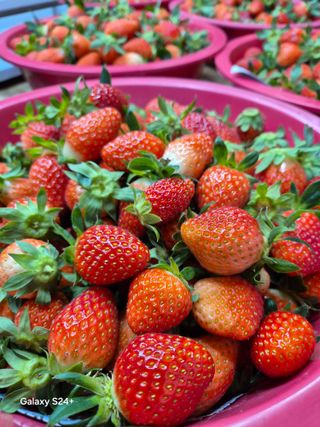 안성화님의 작성글 사진