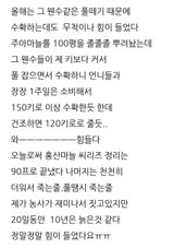 삼성농산님의 마늘·수확 작성글 사진