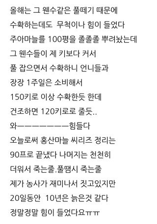 삼성농산님의 마늘 · 수확 작성글 사진
