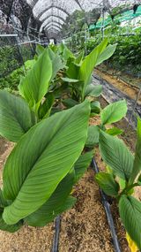 팜모닝 자유주제·자유게시판 게시글 이미지