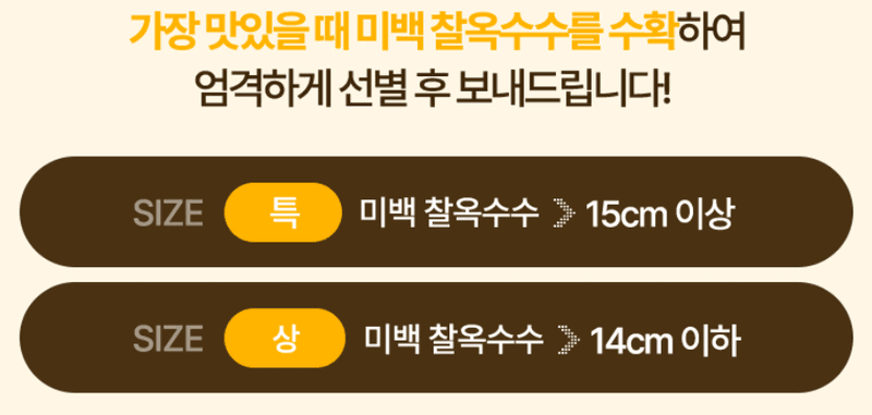 스피드번님의 장터 판매 상품 [강원도 미백옥수수] 첨부 사진