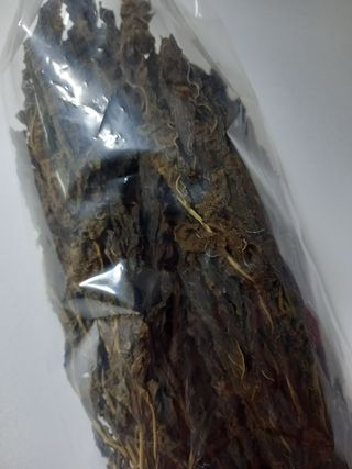 박시내님의 작성글 사진