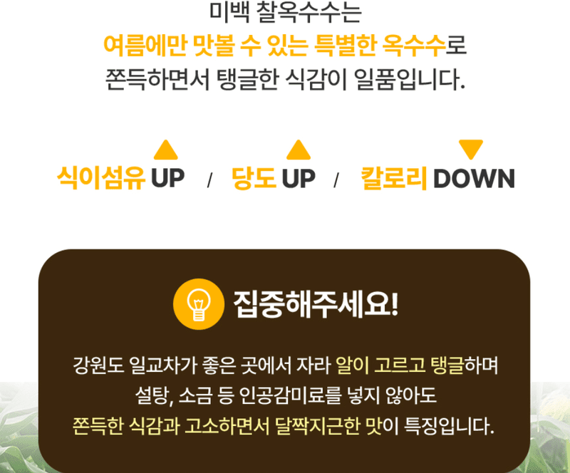 스피드번님의 장터 판매 상품 [강원도 미백옥수수] 첨부 사진