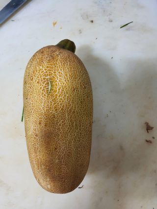 꼬마초보님의 농사, 무엇이든 물어보세요! · 참여글 작성글 사진