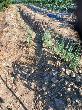 알 수 없음님의 자유주제 · 자유게시판 작성글 사진