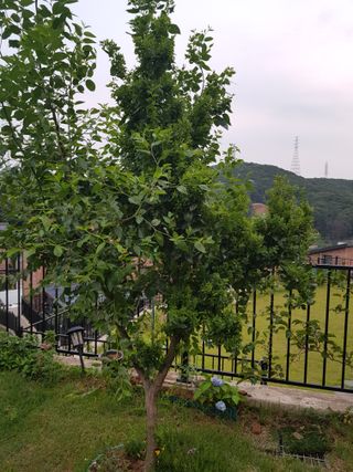 김건호님의 자유주제 · 자유게시판 작성글 사진