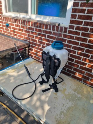 김용대님의 자유주제 · 자유게시판 작성글 사진