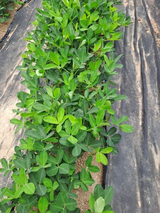 강정희님의 자유주제 · 자유게시판 작성글 사진