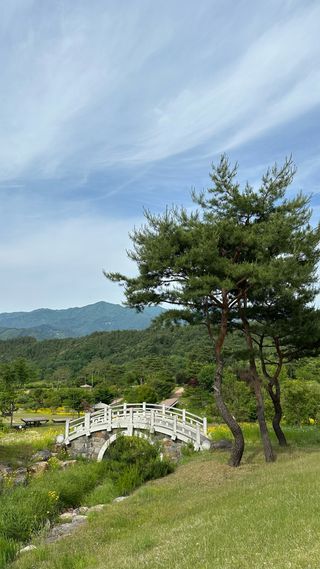 알 수 없음님의 자유주제 · 자유게시판 작성글 사진